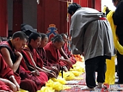 DSC02181 